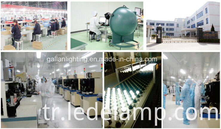 Hot Sale 3W LED Bulb with Alum and Plastic (GHD-B0342-X20)